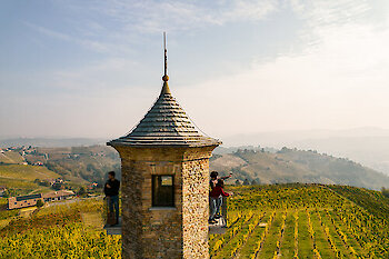 Weinlandschaften des Piemonte